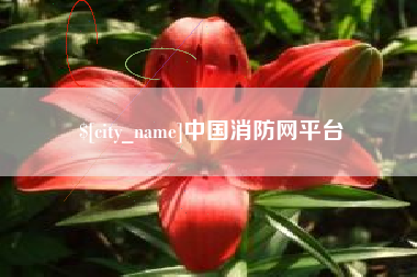 崇左中国消防网平台