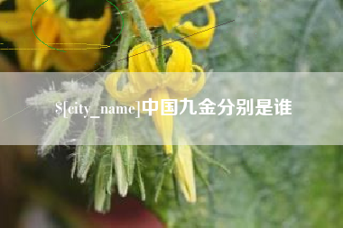 崇左中国九金分别是谁
