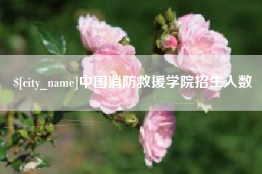 崇左中国消防救援学院招生人数