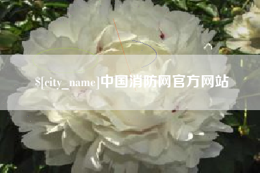崇左中国消防网官方网站