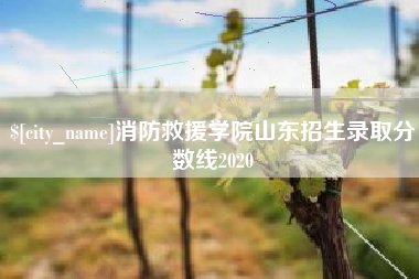 崇左消防救援学院山东招生录取分数线2020
