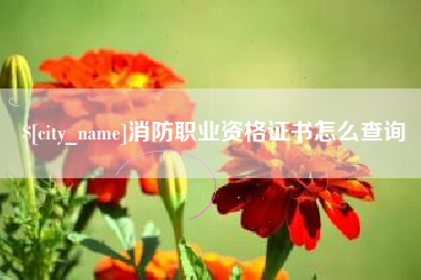 崇左消防职业资格证书怎么查询