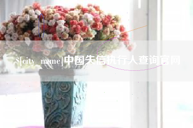 崇左中国失信执行人查询官网