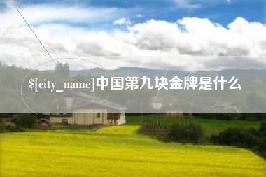 崇左中国第九块金牌是什么