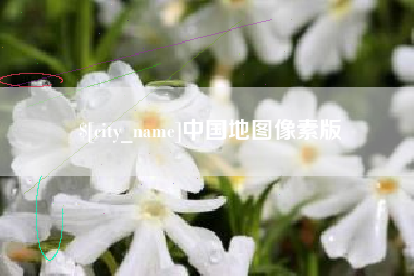 崇左中国地图像素版
