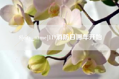 崇左119消防日哪年开始