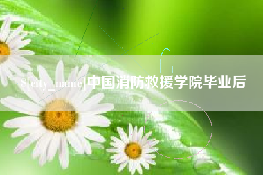 崇左中国消防救援学院毕业后