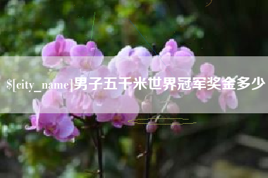 崇左男子五千米世界冠军奖金多少