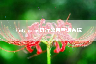 崇左执行公告查询系统