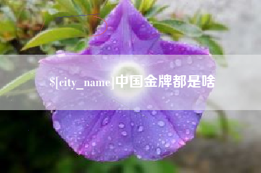 崇左中国金牌都是啥