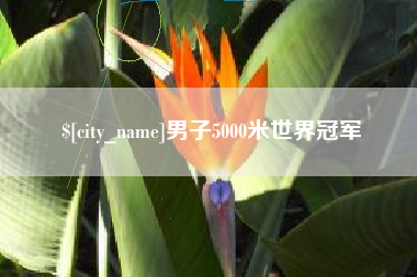 崇左男子5000米世界冠军