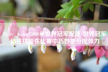 崇左5000米世界冠军配速-世界冠军们往往能在比赛中巧妙地分配体力