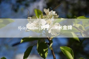 崇左男子5000米金牌