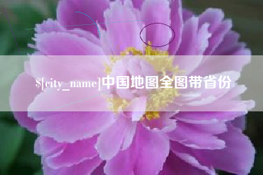 崇左中国地图全图带省份