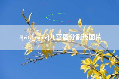 崇左九宫图分割线图片