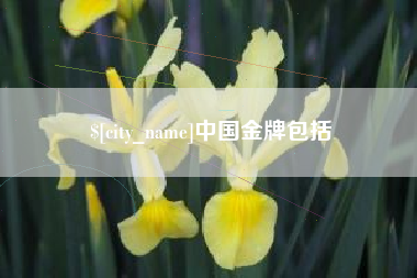 崇左中国金牌包括