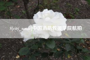 崇左中国消防救援学院航拍