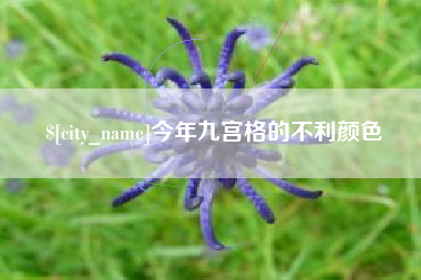 崇左今年九宫格的不利颜色