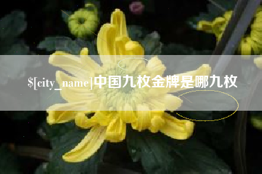 崇左中国九枚金牌是哪九枚
