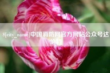 崇左中国消防网官方网站公众号达伦特