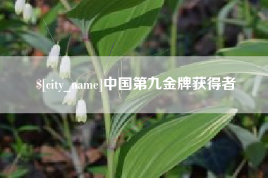 崇左中国第九金牌获得者