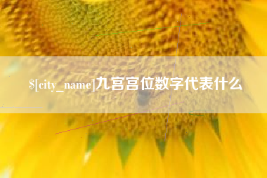 崇左九宫宫位数字代表什么