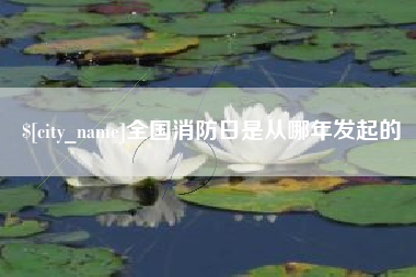 崇左全国消防日是从哪年发起的