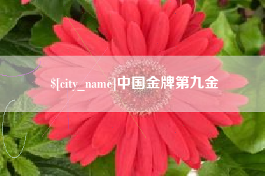 崇左中国金牌第九金