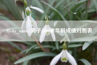 崇左男子5000米年龄成绩对照表