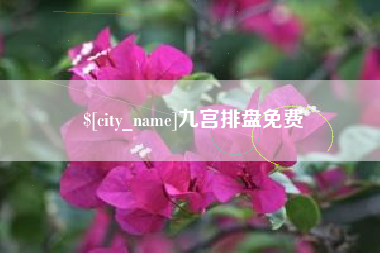 崇左九宫排盘免费