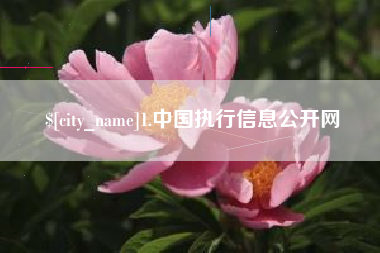 崇左1.中国执行信息公开网