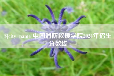 崇左中国消防救援学院2024年招生分数线