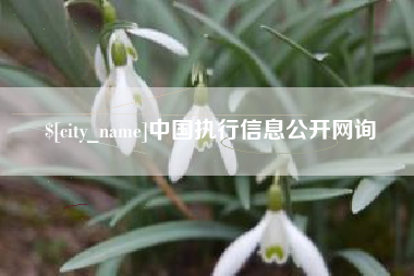 崇左中国执行信息公开网询