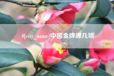 崇左中国金牌哪几项