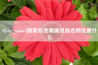 崇左国家应急救援员报名网址是什么