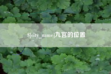 崇左九宫的位置