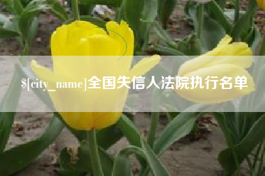 崇左全国失信人法院执行名单