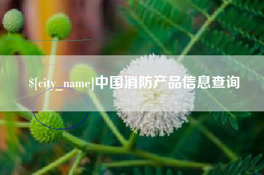 崇左中国消防产品信息查询