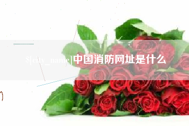 崇左中国消防网址是什么