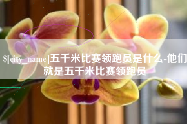 崇左五千米比赛领跑员是什么-他们就是五千米比赛领跑员