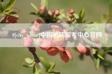 崇左中国消防报考中心官网