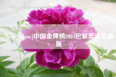 崇左中国金牌榜2024巴黎奥运会最新