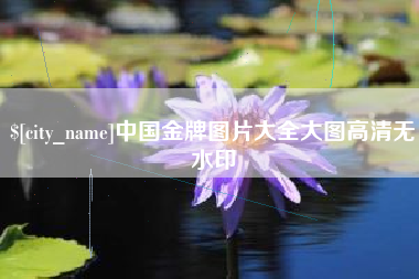 崇左中国金牌图片大全大图高清无水印