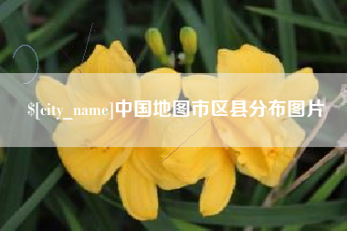 崇左中国地图市区县分布图片