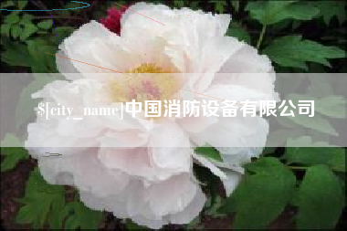崇左中国消防设备有限公司
