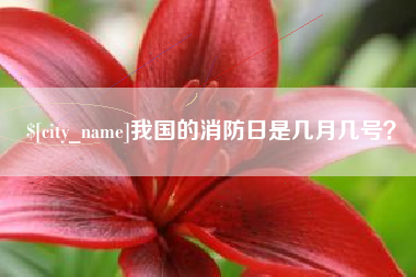 崇左我国的消防日是几月几号？