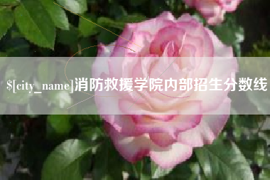 崇左消防救援学院内部招生分数线