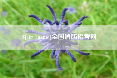 崇左全国消防招考网