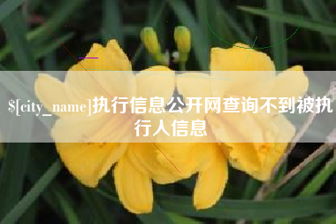 崇左执行信息公开网查询不到被执行人信息