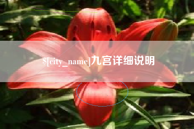 崇左九宫详细说明